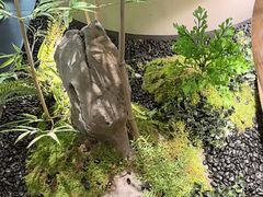 -绿茶餐厅(淮安吾悦广场店)