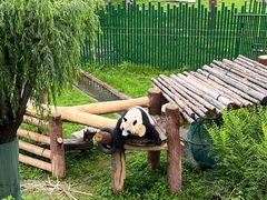 -沈阳森林动物园