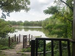 -塘沽森林公园