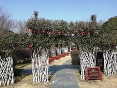 -武汉紫薇都市田园