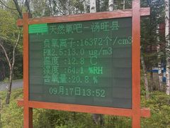 -汤旺河林海奇石景区