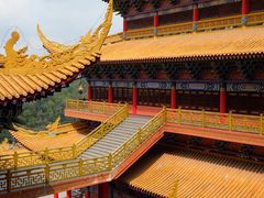 -东莞市大岭山森林公园