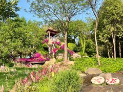 -沂蒙云瀑洞天景区