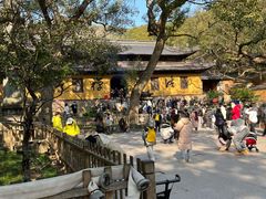 -普陀山风景名胜区-法雨禅寺