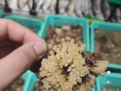 -海蓝海鲜馆(五四北店)