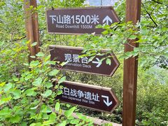 -大岭沟猕猴桃谷风景区