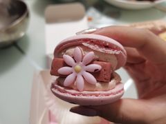 玫瑰双莓半熟芝士味马卡龙-味多美蛋糕(洋桥店)