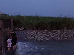 -奉贤海滩