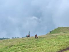 -玉舍国家森林公园