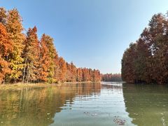 -上海海湾国家森林公园