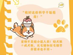 -博特宠物医院24h犬猫全科.骨科·异宠