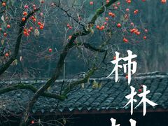 -丹山赤水风景名胜区