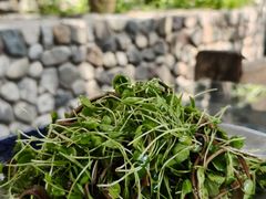 -百花人家(清水田园店)