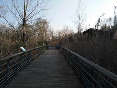 -西湖风景区-江洋畈生态公园