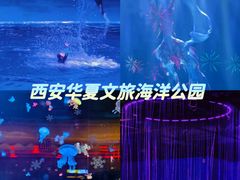 -华夏文旅海洋公园