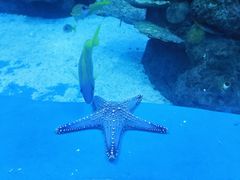 -成都浩海立方海洋公园