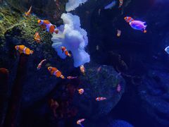 -沈阳海洋探索中心