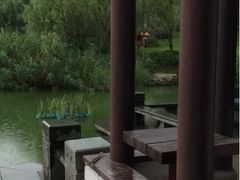 iphone_upload_pic-日出青木·杭帮菜名店