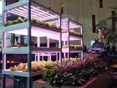 -佰园全日西餐厅-厦门佰翔软件园酒店