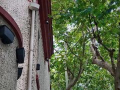 -RUMORS COFFEE ROASTERY鲁马滋咖啡(湖南路店)