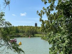 -宜兴龙背山森林公园