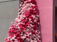 -Mammamia意大利餐厅(阳春巷店)