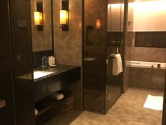 -河源万绿湖美思威尔顿酒店