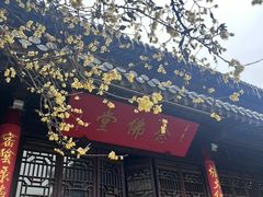 -灵谷景区