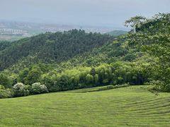 -敬亭山风景名胜区
