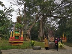 -瑞丽独树成林风景区