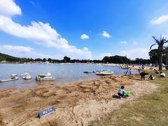 -上海月湖雕塑公园