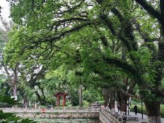 -西湖公园(鼓楼区)