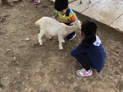 -无锡动物园·太湖欢乐园