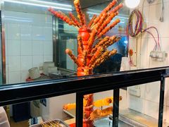 -二斗栗子(黄河道店)