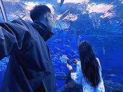 -哈尔滨波塞冬海底世界