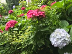 -太湖湾开元名庭大酒店