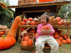 -HERRE·FARM 赫尔露营农场·团建聚会包场