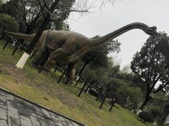 -金钉子远古世界景区