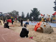 -铁山坪森林公园