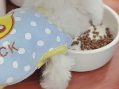 -宠颐生中康贝怡动物医院