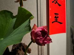 -逸道(益丰·外滩源店)