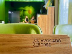 -油梨树AVOCADO TREE(顺义新国展店)