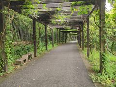 -九龙潭景区