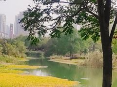 -洋湖国家湿地公园