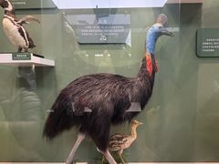 -国家自然博物馆