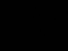 -浙江越秀外国语学院