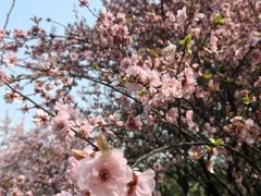 -铜锣山矿山公园