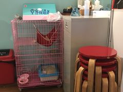 -大王油茶(二厂文创公园店)