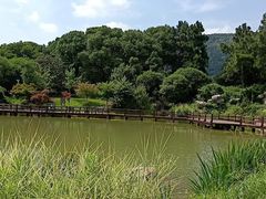 -宝岩生态观光园