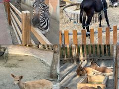 -水上乐园·欢乐世界